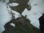 Sneg se je počasi topil in voda je tekal preko potk